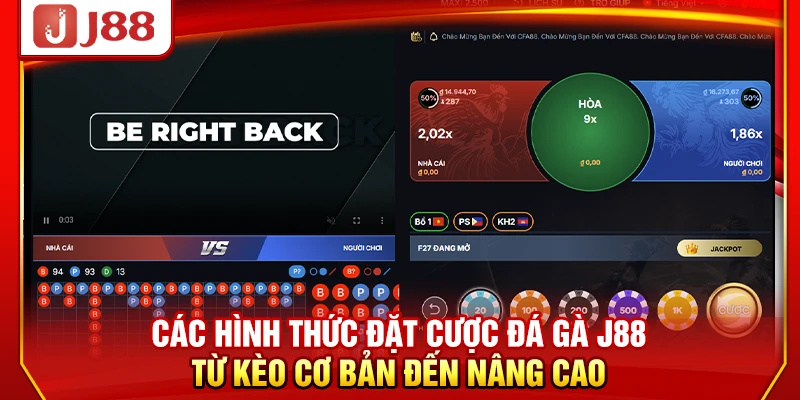 Các hình thức đặt cược đá gà J88 từ kèo cơ bản đến nâng cao