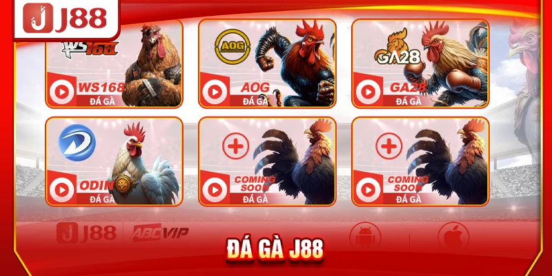 Đá Gà J88 - Livestream Trực Tiếp Từ Trường Gà Quốc Tế